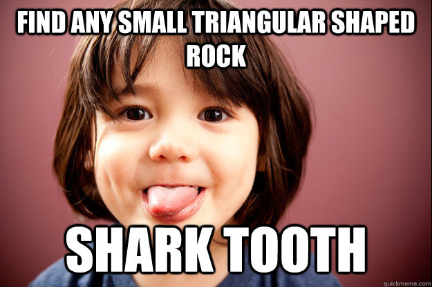 Find any small triangular shaped rock Shark tooth - Find any small triangular shaped rock Shark tooth  Misc