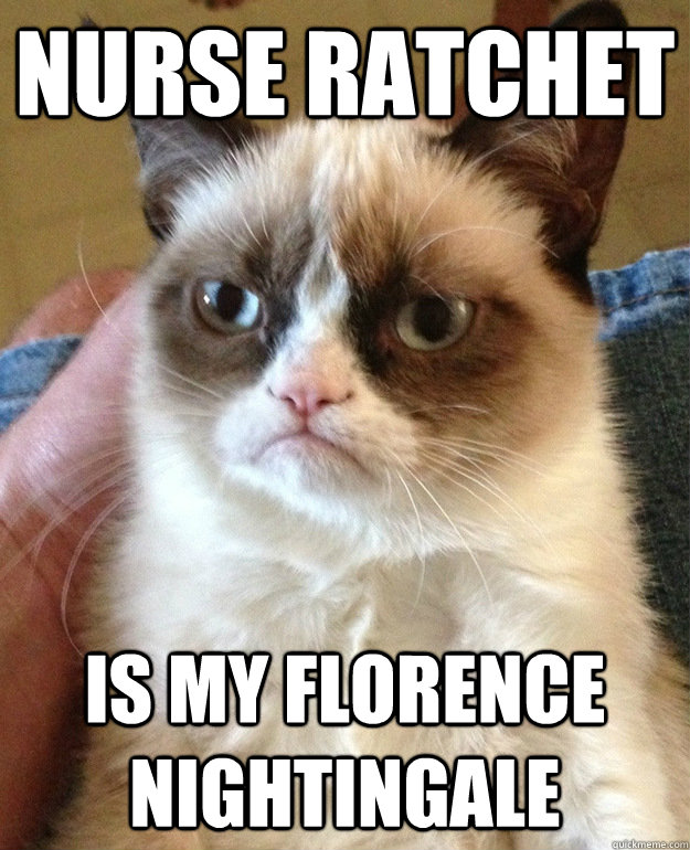 Nurse Ratchet is my Florence Nightingale - Nurse Ratchet is my Florence Nightingale  grumpycat