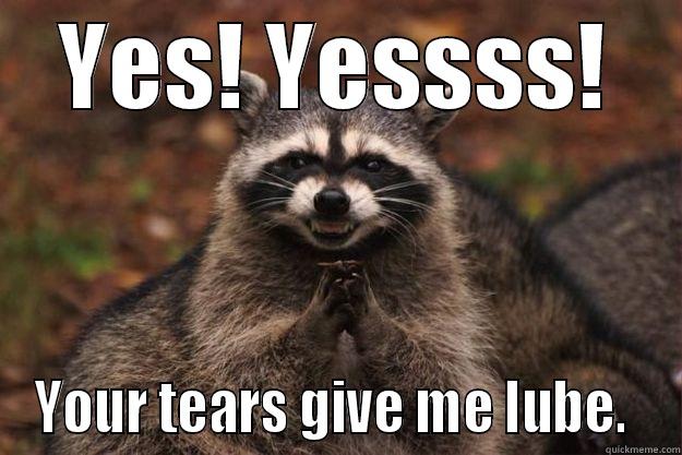 gIVE ME lube - YES! YESSSS! YOUR TEARS GIVE ME LUBE.  Evil Plotting Raccoon