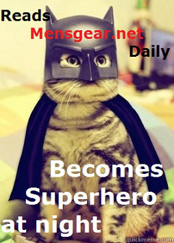    superhero cat