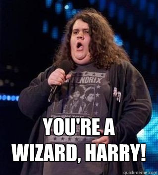 you re a wizard harry rubeus hagrid jonathan quickmeme