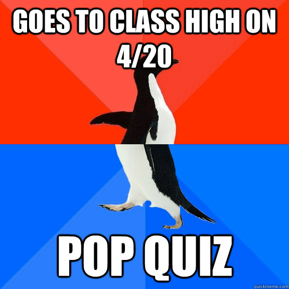 goes to class high on 4/20 pop quiz  Socially Awesome Awkward Penguin