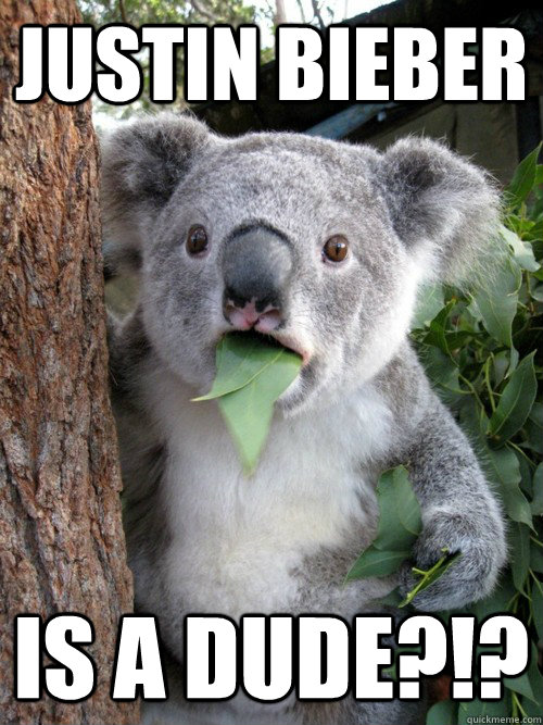 Justin bieber  is a dude?!?  koala bear