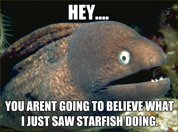 Hey.... You arent going to believe what I just saw starfish doing.  Caught in the act Moray