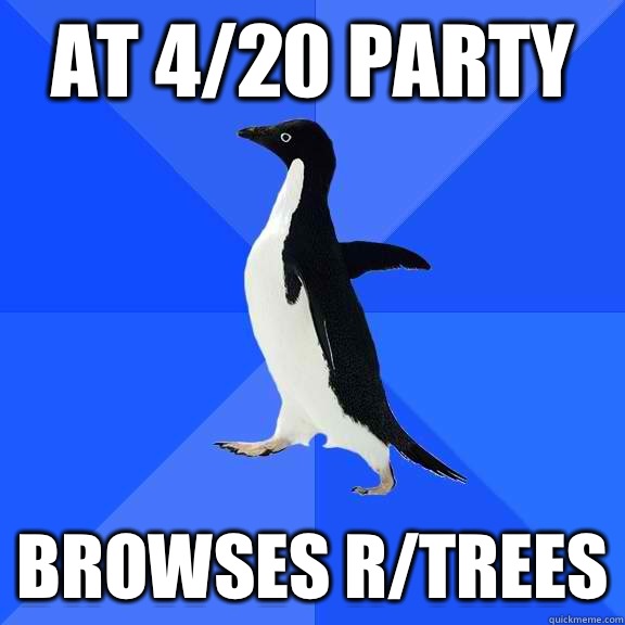 at 4/20 party browses r/trees  Socially Awkward Penguin