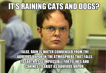 It's raining cats and dogs? False. Rain is water condensed from the aqueous vapor in the atmosphere that falls to earth. It is impossible for felines and canines to exist as aqueous vapor. - It's raining cats and dogs? False. Rain is water condensed from the aqueous vapor in the atmosphere that falls to earth. It is impossible for felines and canines to exist as aqueous vapor.  Schrute