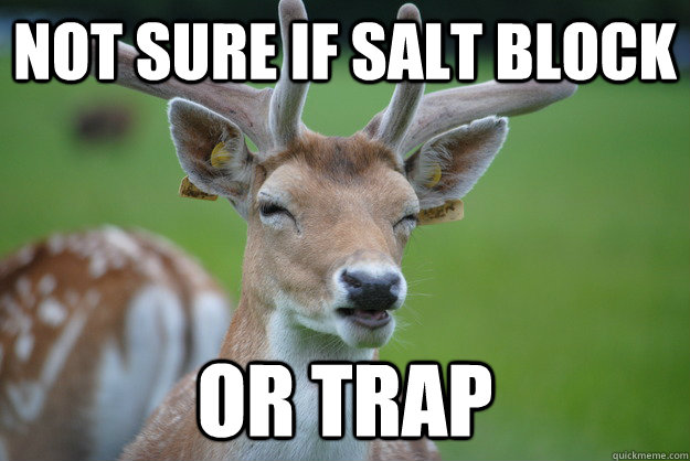 Not Sure if salt block Or trap - Not Sure if salt block Or trap  Deer Fry