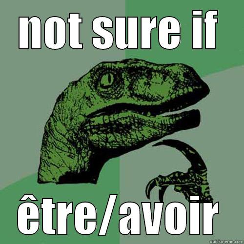 NOT SURE IF ÊTRE/AVOIR Philosoraptor