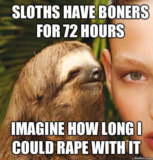 Sloths have boners for 72 hours  imagine how long I could rape with it  rape sloth