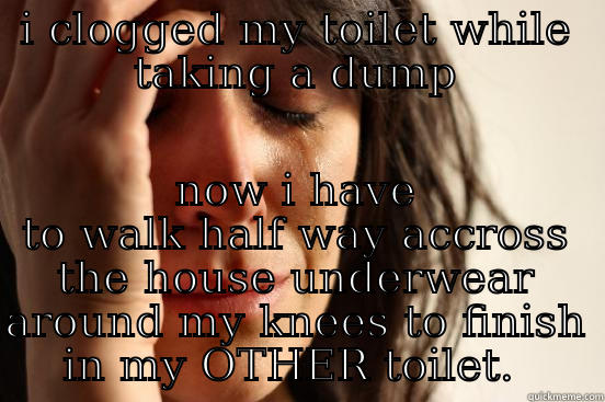 I CLOGGED MY TOILET WHILE TAKING A DUMP NOW I HAVE TO WALK HALF WAY ACCROSS THE HOUSE UNDERWEAR AROUND MY KNEES TO FINISH IN MY OTHER TOILET.  First World Problems
