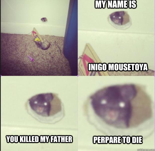 my name is Inigo Mousetoya you killed my father perpare to die - my name is Inigo Mousetoya you killed my father perpare to die  Misc