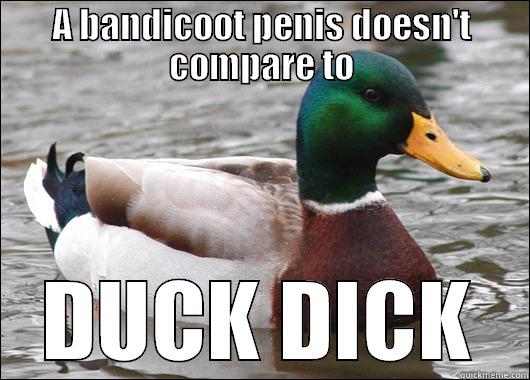 DUCK DICK - A BANDICOOT PENIS DOESN'T COMPARE TO DUCK DICK Actual Advice Mallard