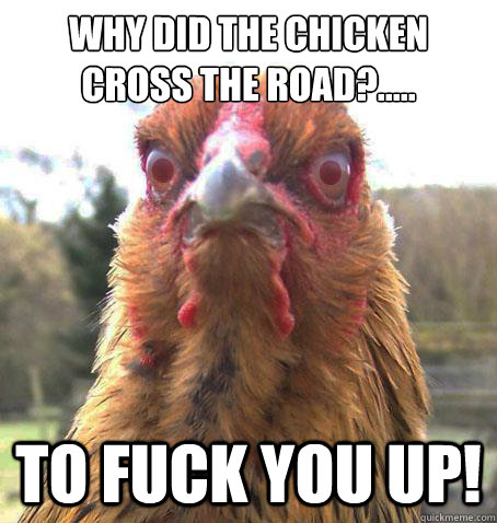 Why did the chicken cross the road?..... To fuck you up!  RageChicken