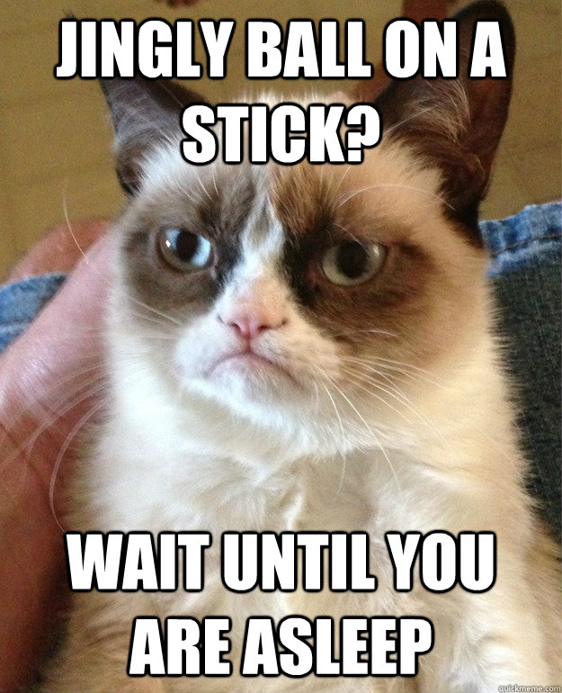 Jingly ball on a stick?  wait until you are asleep  Grumpy Cat