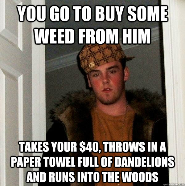 You go to buy some weed from him takes your $40, throws in a paper towel full of dandelions and runs into the woods  - You go to buy some weed from him takes your $40, throws in a paper towel full of dandelions and runs into the woods   Scumbag Steve