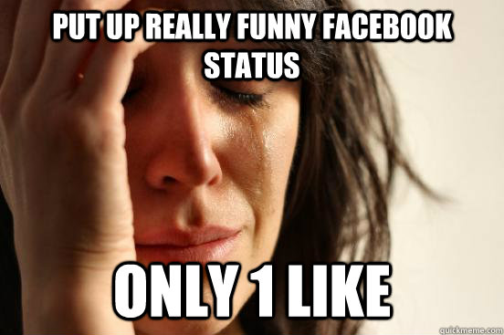 put up really funny facebook status only 1 like  First World Problems
