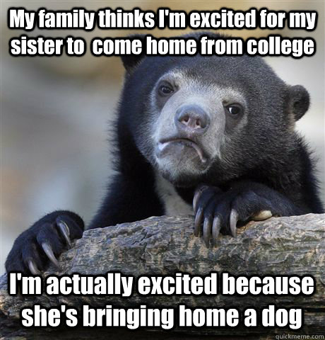 My family thinks I'm excited for my sister to  come home from college I'm actually excited because she's bringing home a dog  Confession Bear