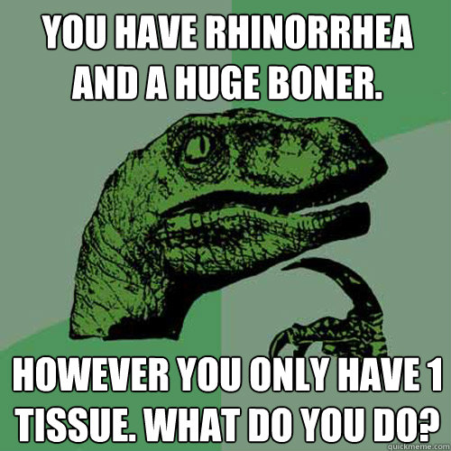 You have rhinorrhea and a huge boner. However you only have 1 tissue. What do you do?  Philosoraptor