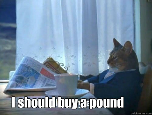 I should buy a pound - I should buy a pound  Fancy Cat