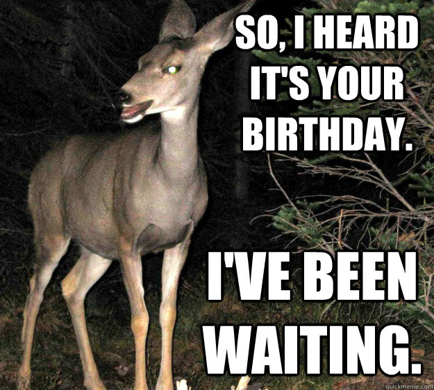 So, I heard it's your birthday. I've been waiting. - So, I heard it's your birthday. I've been waiting.  Vaguely Creepy Deer.