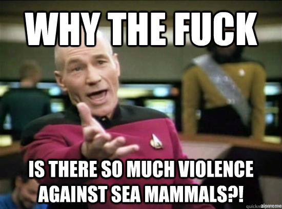 Why the fuck is there so much violence against sea mammals?!  Annoyed Picard HD