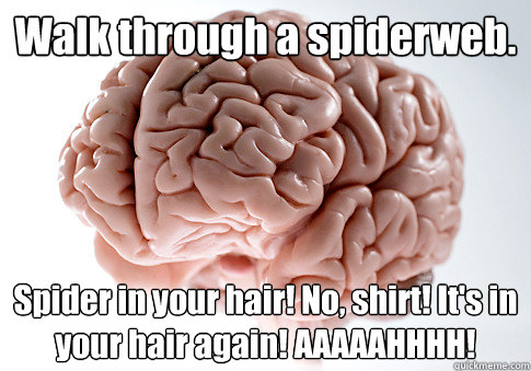 Walk through a spiderweb. Spider in your hair! No, shirt! It's in your hair again! AAAAAHHHH!   Scumbag Brain