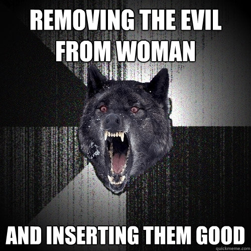 removing the evil from woman and inserting them good  Insanity Wolf