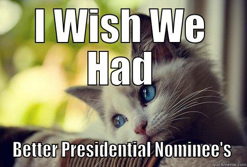 Sad Kitty - I WISH WE HAD BETTER PRESIDENTIAL NOMINEE'S First World Problems Cat