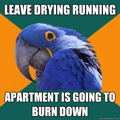 Leave drying running apartment is going to burn down  Paranoid Parrot