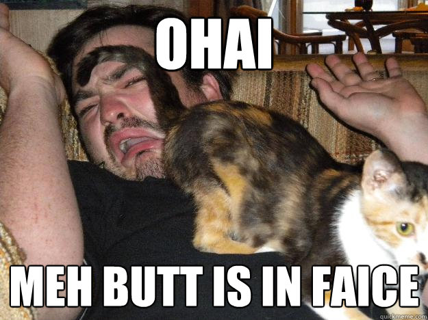 OHAI Meh butt is in faice  