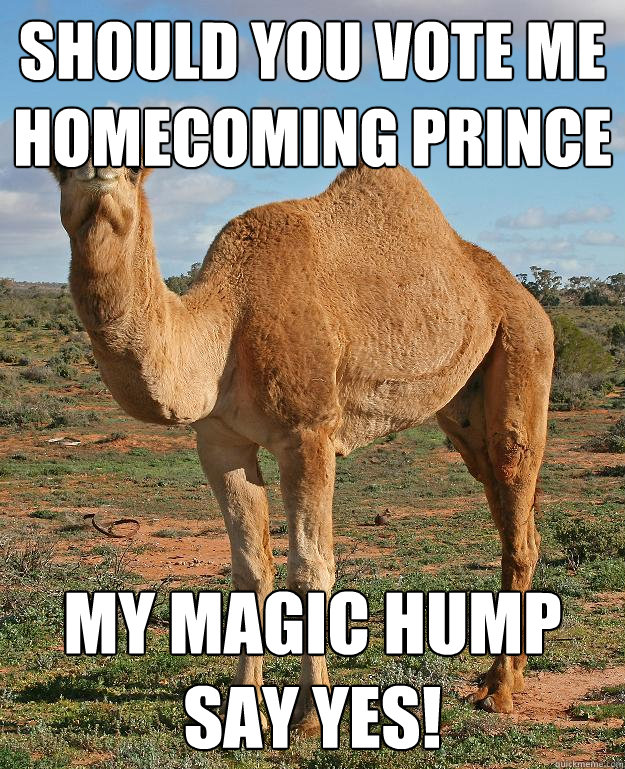 Should you vote me Homecoming prince My magic hump say yes! - Should you vote me Homecoming prince My magic hump say yes!  Cautious Camel