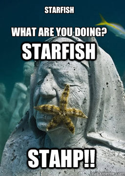 Starfish 
 what are you doing?
 starfish stahp!! - Starfish 
 what are you doing?
 starfish stahp!!  Starfish stahp