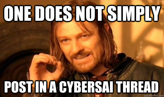 ONE DOES NOT SIMPLY POST IN A CYBERSAI THREAD  One Does Not Simply