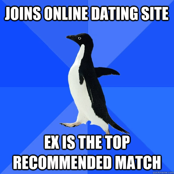 Joins online dating site Ex is the top recommended match  Socially Awkward Penguin