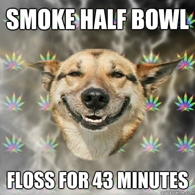 SMOKE HALF BOWL FLOSS FOR 43 MINUTES  Stoner Dog