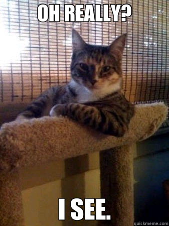OH REALLY? I SEE.  The Most Interesting Cat in the World