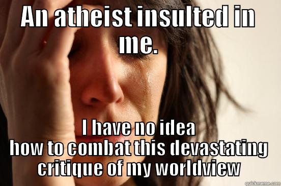 AN ATHEIST INSULTED IN ME. I HAVE NO IDEA HOW TO COMBAT THIS DEVASTATING CRITIQUE OF MY WORLDVIEW First World Problems