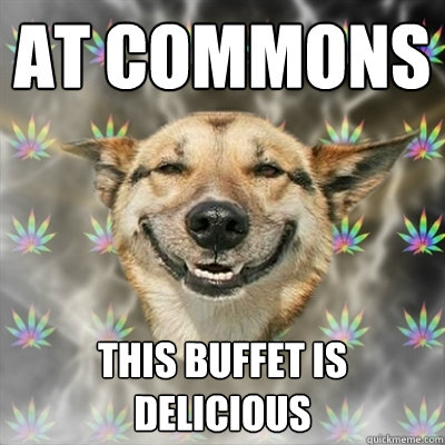 at commons this buffet is delicious  Stoner Dog