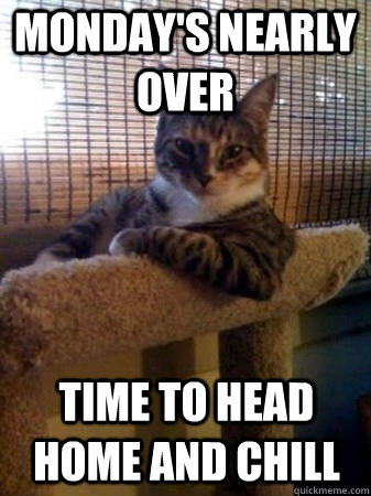 Monday's nearly over Time to head home and chill  The Most Interesting Cat in the World