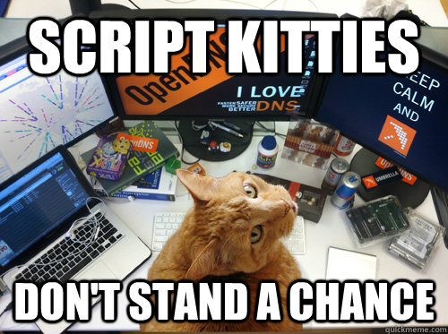 Script kitties don't stand a chance  