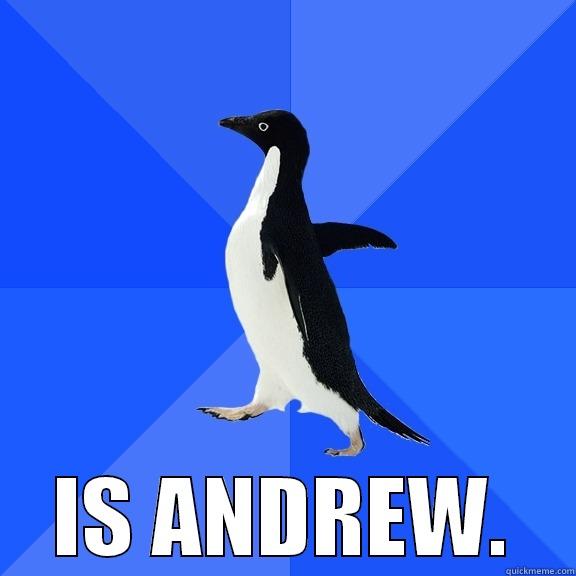  IS ANDREW. Socially Awkward Penguin