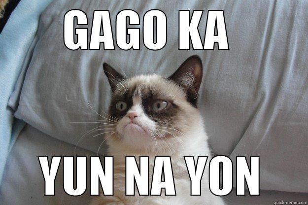 GAGO KA  YUN NA YON Grumpy Cat