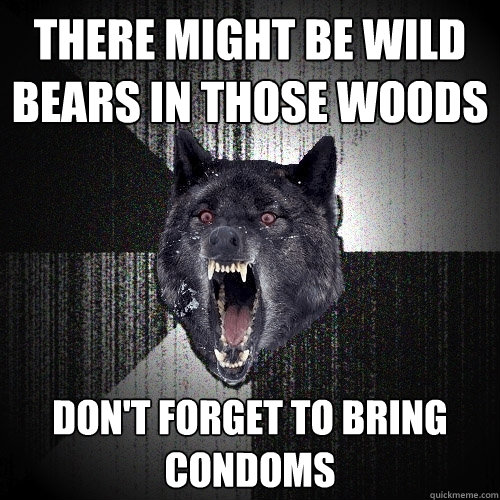 there might be wild bears in those woods don't forget to bring condoms - there might be wild bears in those woods don't forget to bring condoms  Insanity Wolf