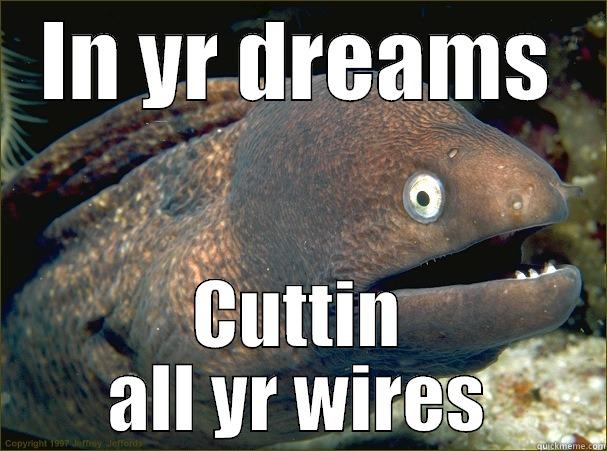 IN YR DREAMS CUTTIN ALL YR WIRES Bad Joke Eel