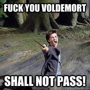 Fuck you voldemort shall not pass!  Pissed off Harry
