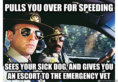 Pulls you over for Speeding sees your sick dog, and gives you an escort to the Emergency vet  Good Guy Cop