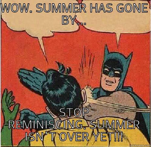 WOW. SUMMER HAS GONE BY... STOP REMINISCING. SUMMER ISN'T OVER YET!!! Batman Slapping Robin