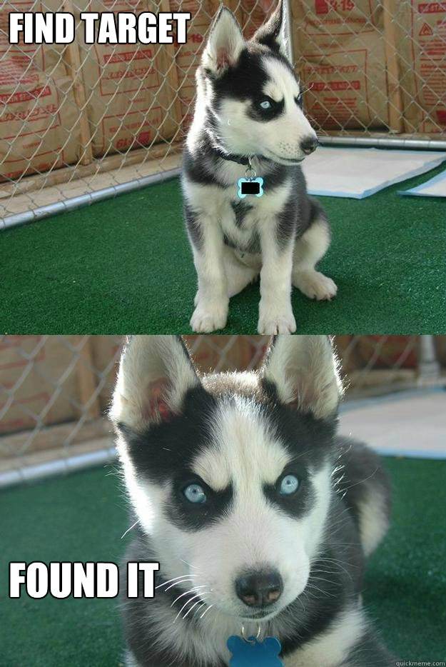 find target FOUND IT  Insanity puppy