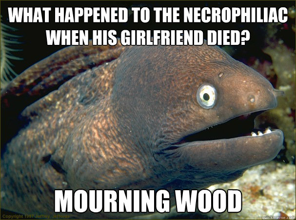 What happened to the necrophiliac when his girlfriend died? Mourning wood  Bad Joke Eel