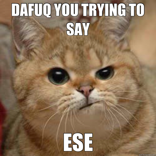 DAFUQ YOU TRYING TO SAY ESE - DAFUQ YOU TRYING TO SAY ESE  kitty